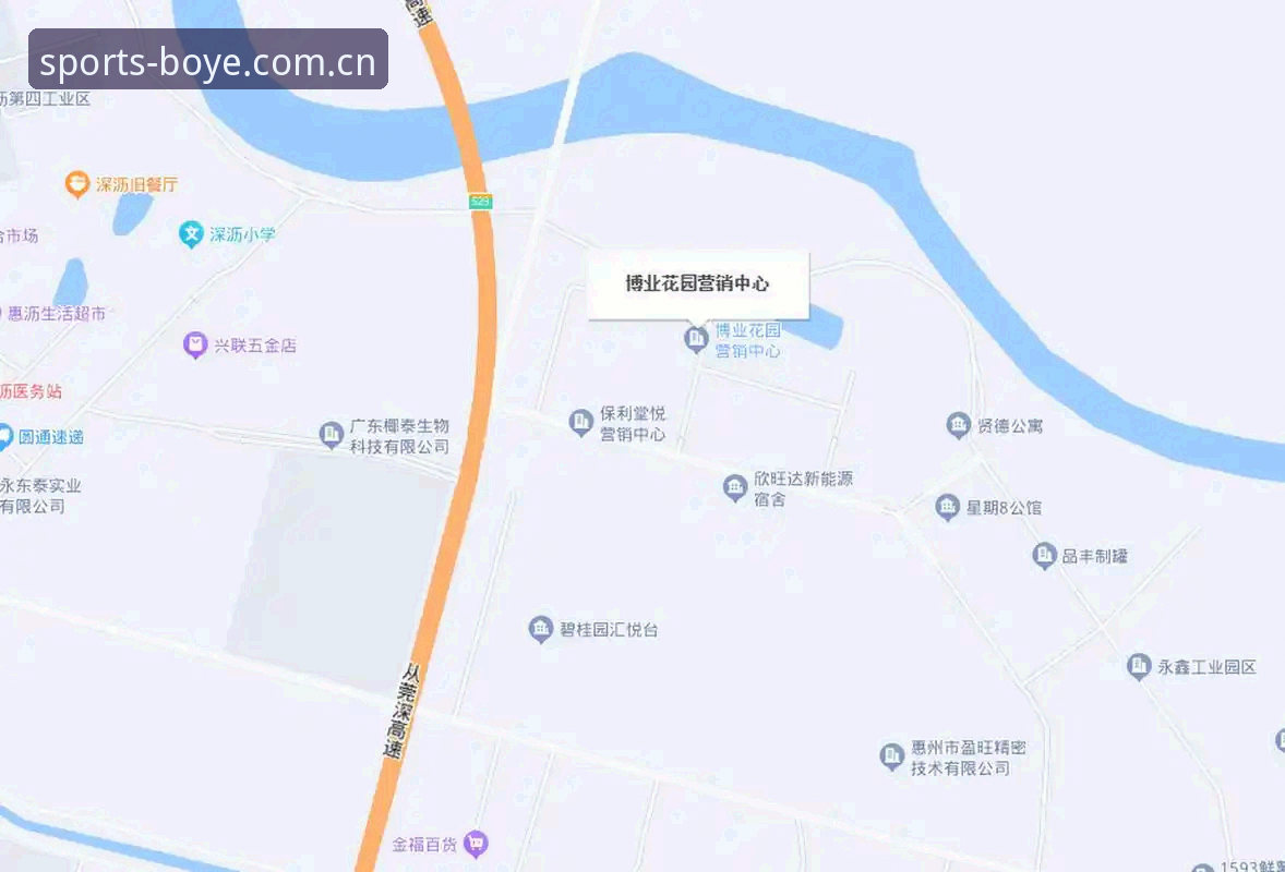 博业体育平台访问通道详解：如何快速找到官网地址并安全使用